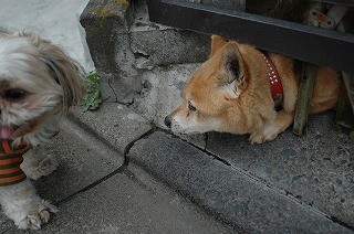 画像 129